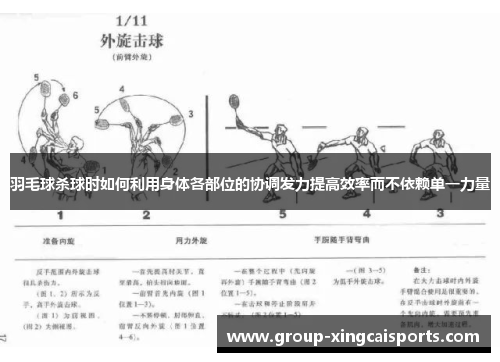 羽毛球杀球时如何利用身体各部位的协调发力提高效率而不依赖单一力量